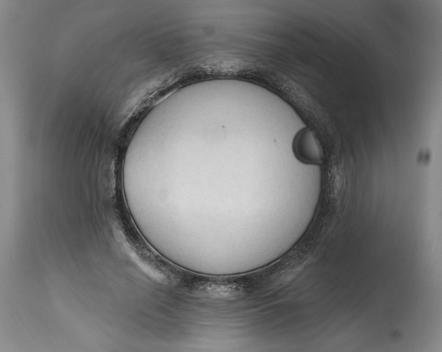 X0000115420638200911171424