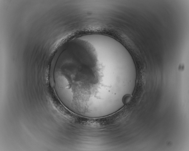 X0000115420640200911171424