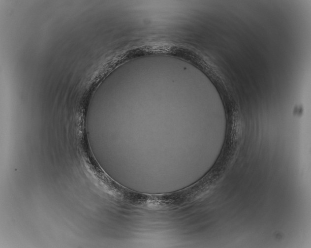X0000115420641200911171424