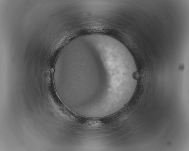 X0000115420642200911171424