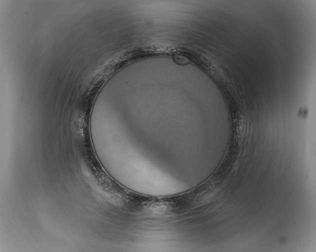X0000115420643200911171424
