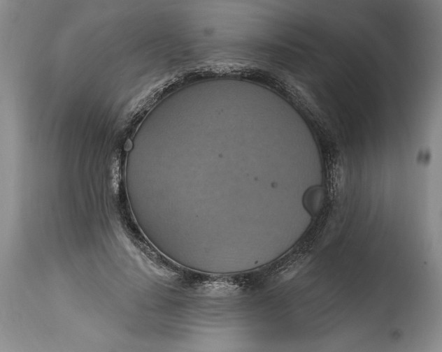 X0000115420644200911171424