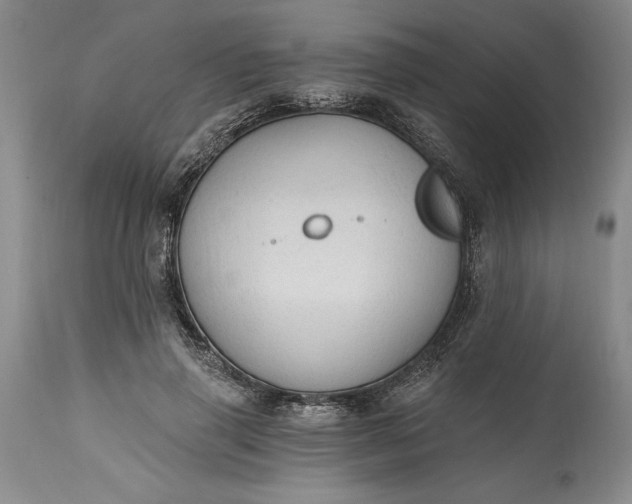 X0000115420645200911171424