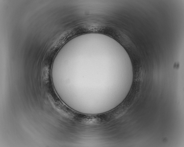 X0000115420646200911171424