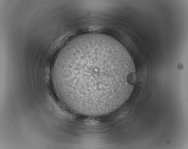X0000115420648200911171424