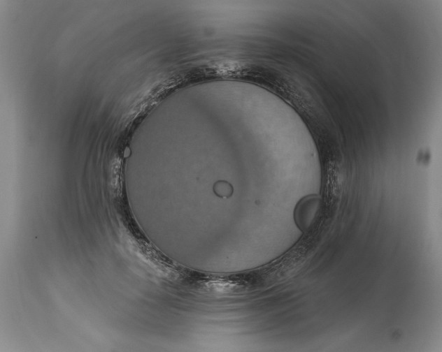 X0000115420650200911171424