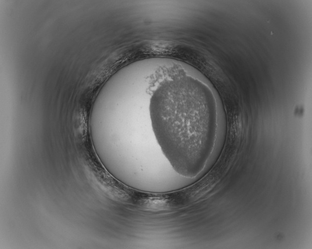 X0000115420651200911171424