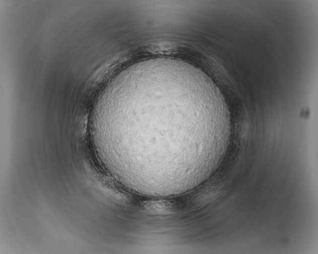 X0000115420652200911171424