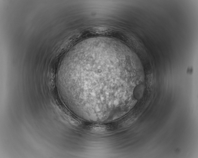 X0000115420653200911171424