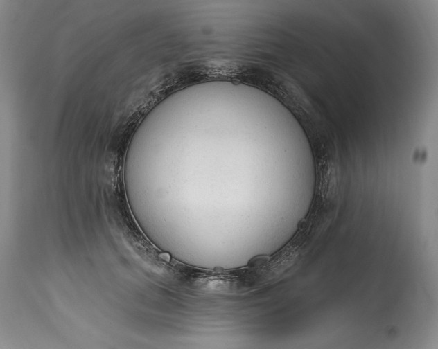X0000115420655200911171424