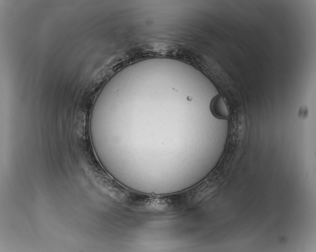 X0000115420656200911171424