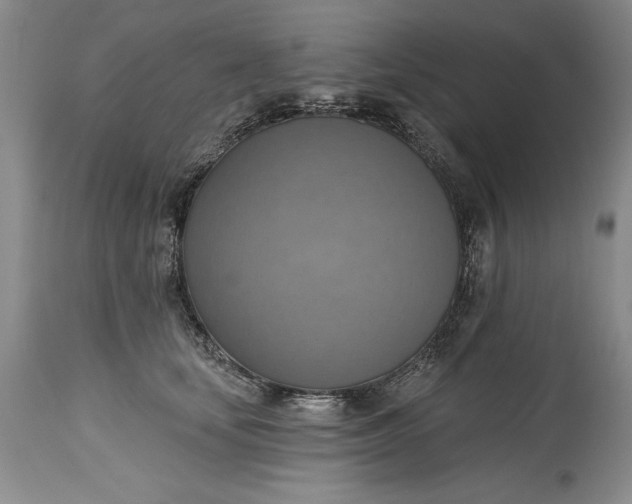 X0000115420659200911171424