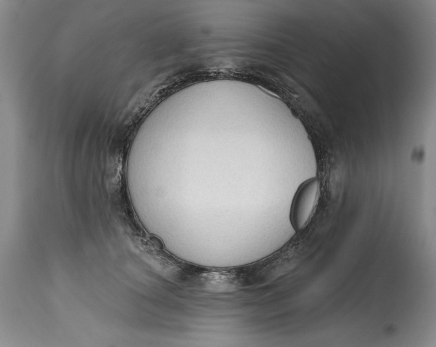 X0000115420660200911171424