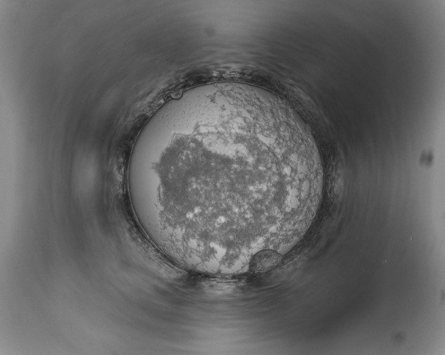X0000115420661200911171424