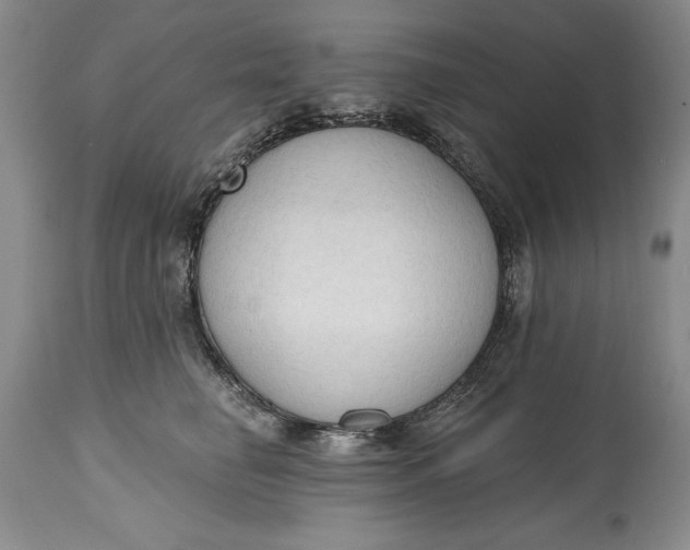 X0000115420662200911171424