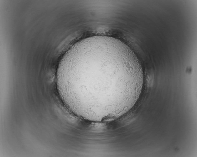 X0000115420665200911171424