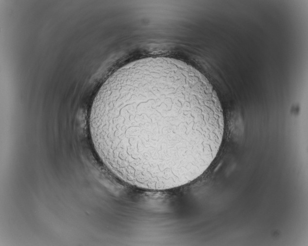 X0000115420667200911171424