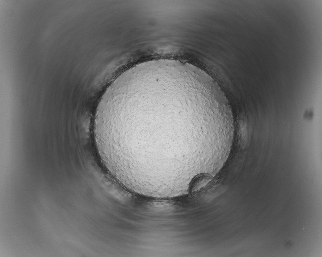 X0000115420668200911171424