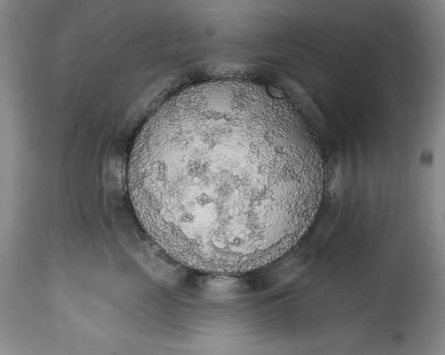 X0000115420669200911171424