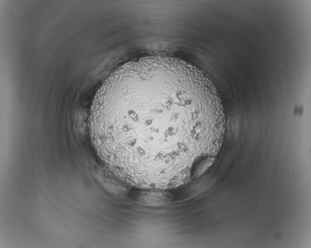 X0000115420671200911171424
