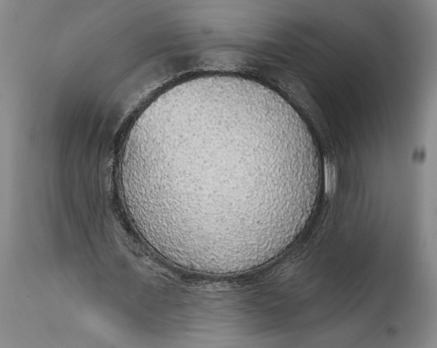 X0000115420675200911171424