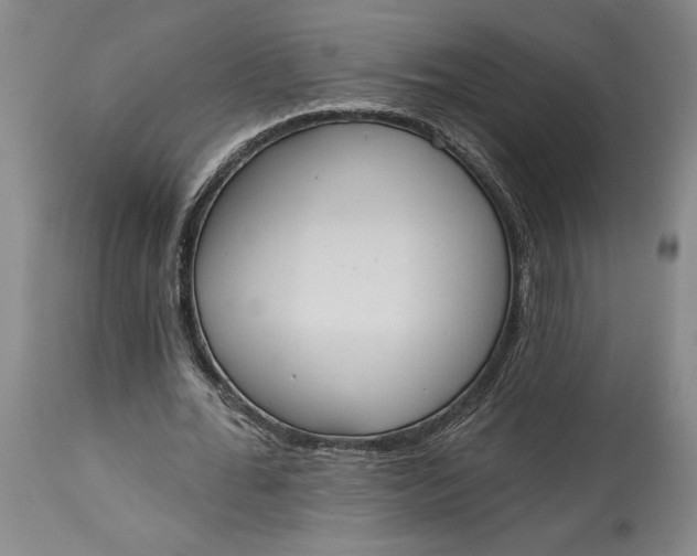 X0000115420676200911171424