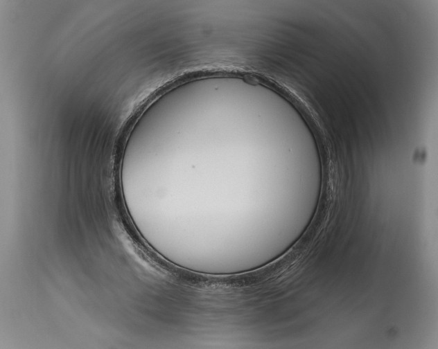 X0000115420677200911171424