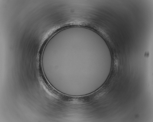 X0000115420678200911171424