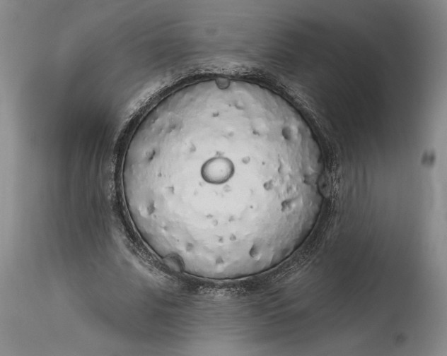 X0000115420679200911171424