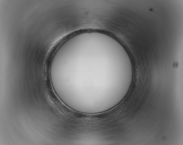 X0000115420680200911171423