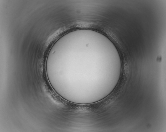 X0000115420682200911171423