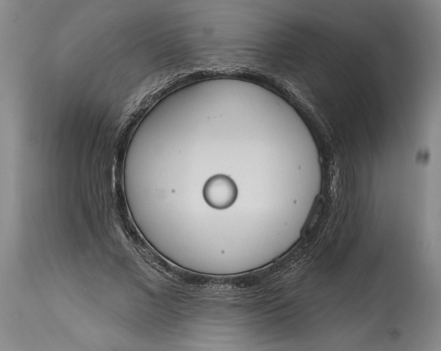 X0000115420685200911171423