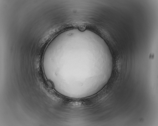 X0000115420687200911171423