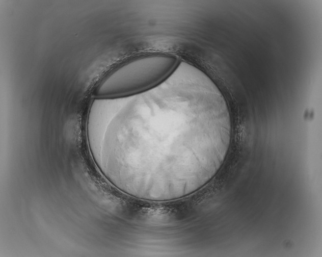 X0000115420688200911171423