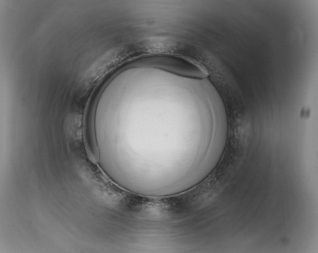 X0000115420696200911171423