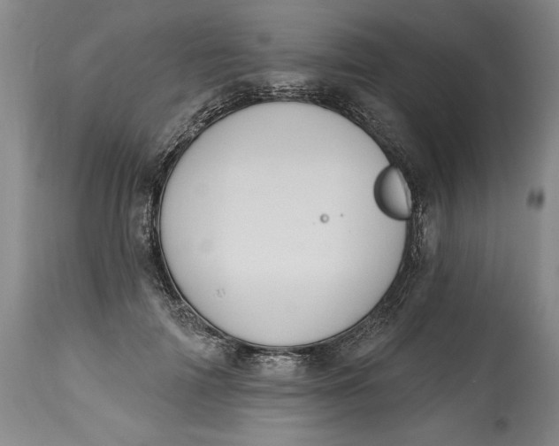 X0000115420698200911171423