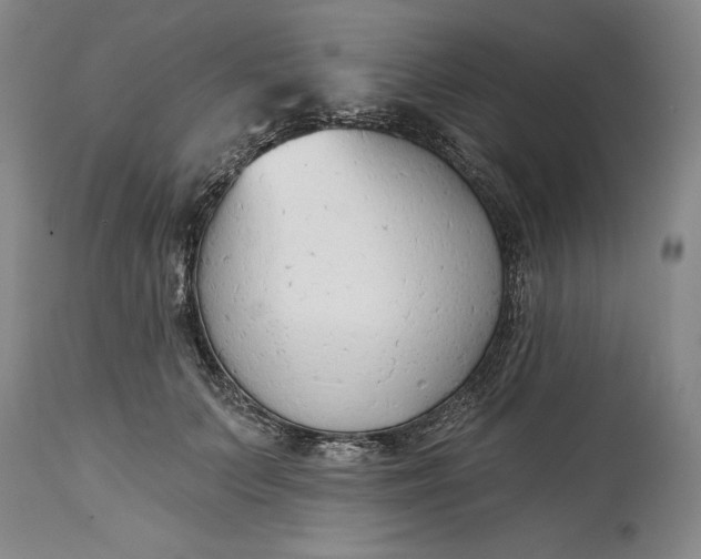 X0000115420703200911171423