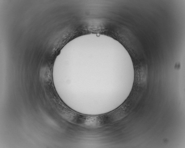X0000115420705200911171423