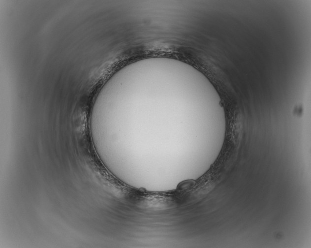 X0000115420708200911171423