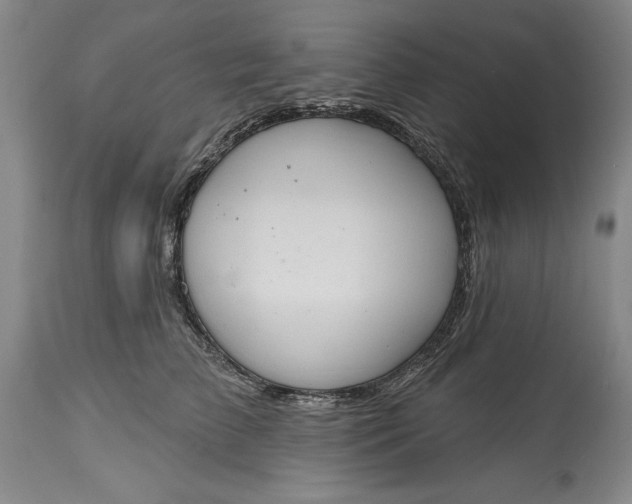 X0000115420709200911171423