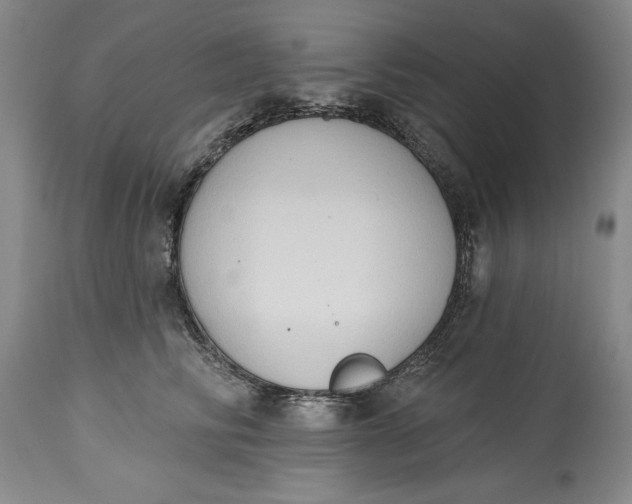 X0000115420710200911171423