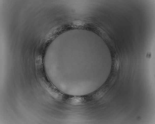 X0000115420711200911171423