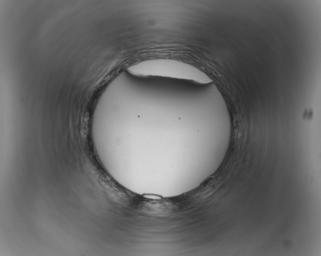 X0000115420712200911171423