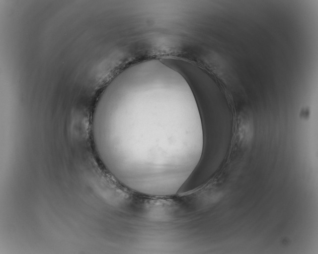 X0000115420716200911171423