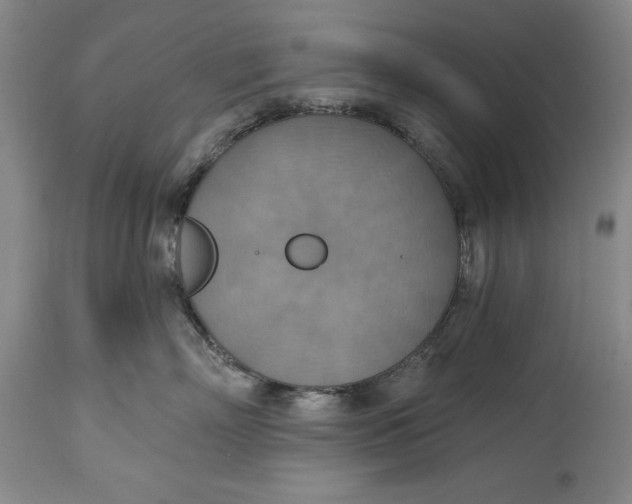X0000115420718200911171423