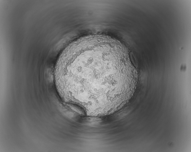 X0000115420719200911171423