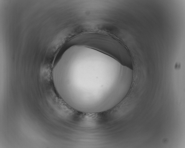 X0000115420720200911171423