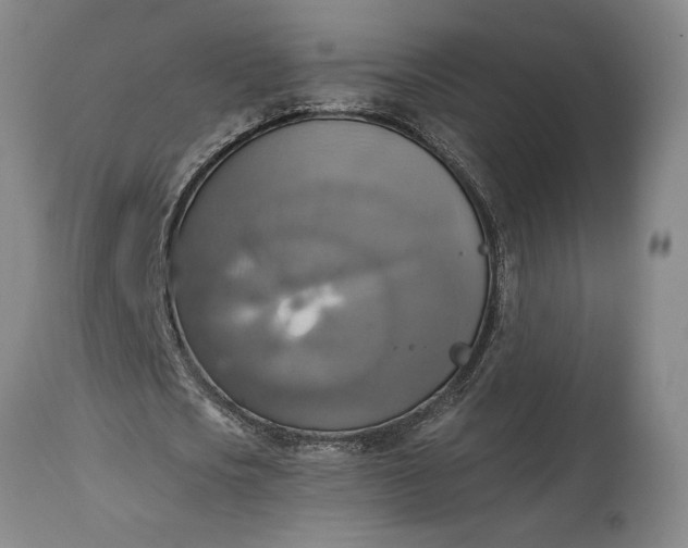 X0000115420721200911171422
