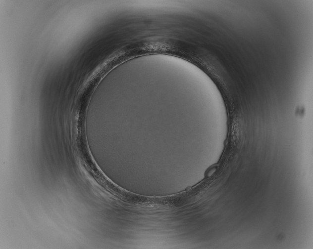 X0000115420722200911171422