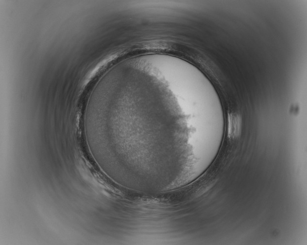 X0000115420723200911171422
